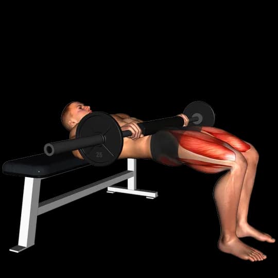 Hip Thrust con barra