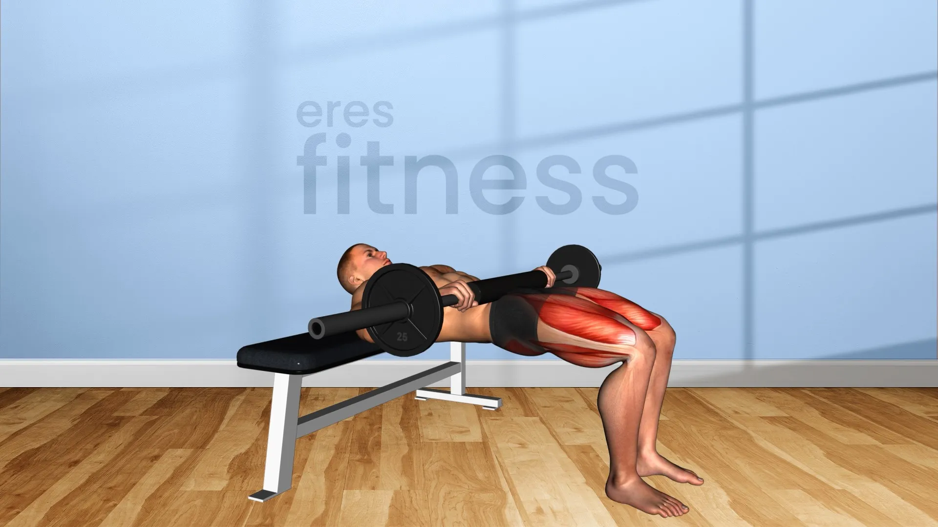 Hip Thrust con barra Hip Thrust con barra