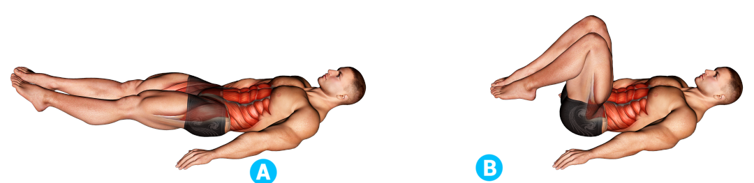 Bottoms Up: Ejercicio para Abdomen ¿Qué es, qué músculos involucra y cómo hacerlo correctamente? Bottoms Up: Ejercicio para Abdomen ¿Qué es, qué músculos involucra y cómo hacerlo correctamente?