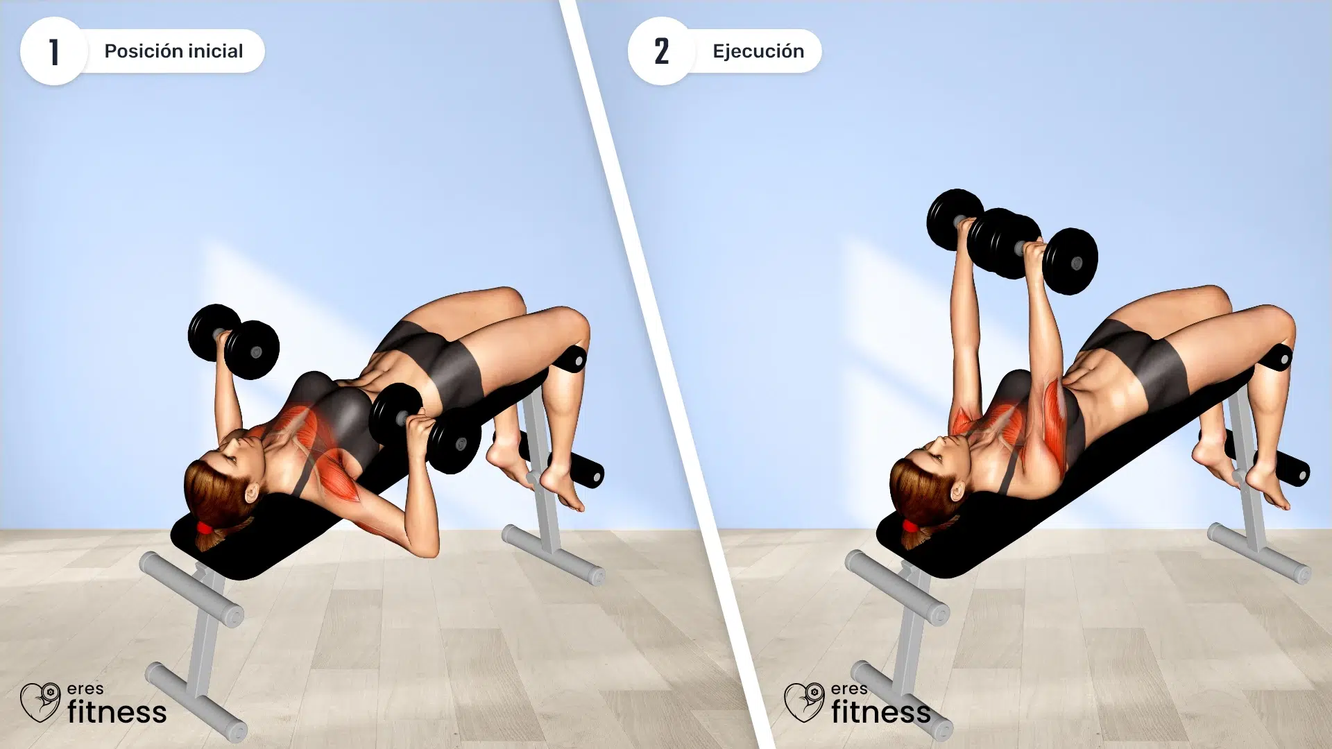 24521105-Dumbbell-Decline-Bench-Press-(female)_Chest_max 24521105-Dumbbell-Decline-Bench-Press-(female)_Chest_max