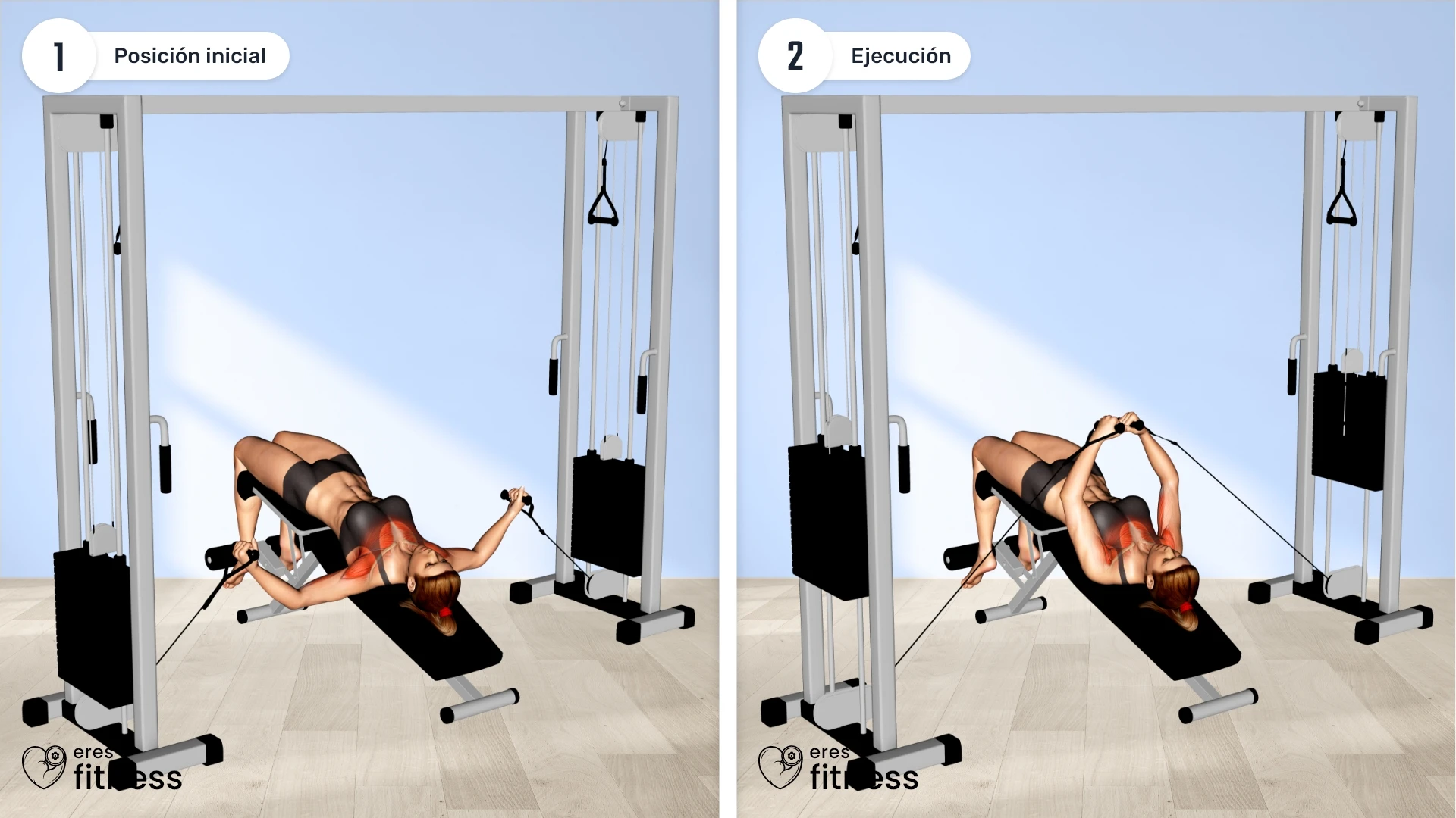 Cómo hacer las aperturas declinado en polea Cómo hacer las aperturas declinado en polea