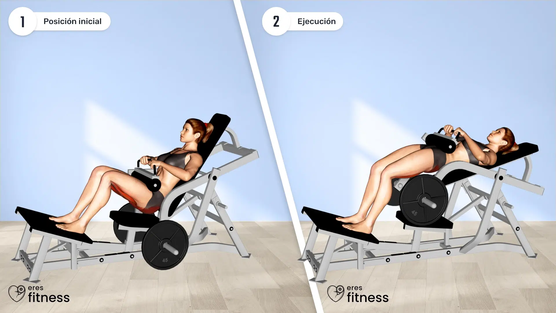 Hip thrust en máquina Hip thrust en máquina
