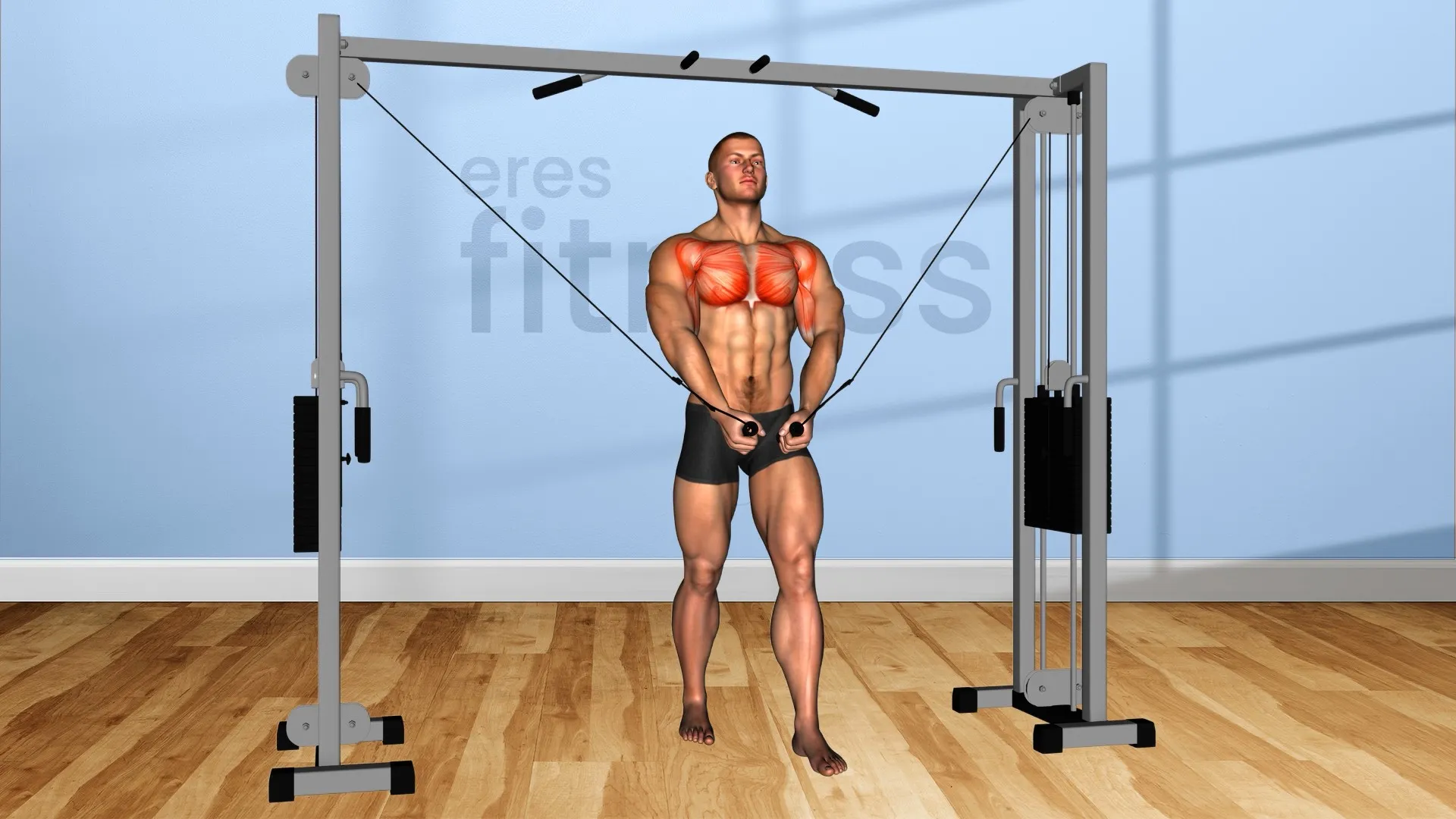 Cruces en polea alta o crossover para pectorales Cruces en polea alta o crossover para pectorales